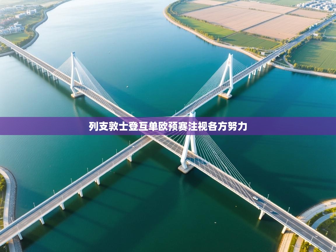 列支敦士登互单欧预赛注视各方努力  第2张