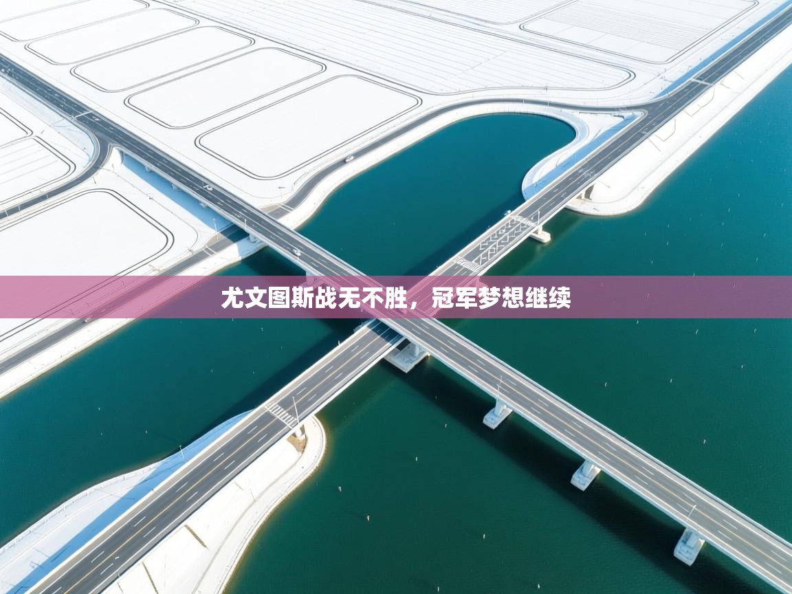 尤文图斯战无不胜,冠军梦想继续 第2张