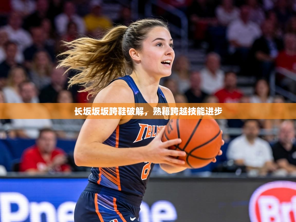 长坂坂坂跨鞋破解,熟籍跨越技能进步